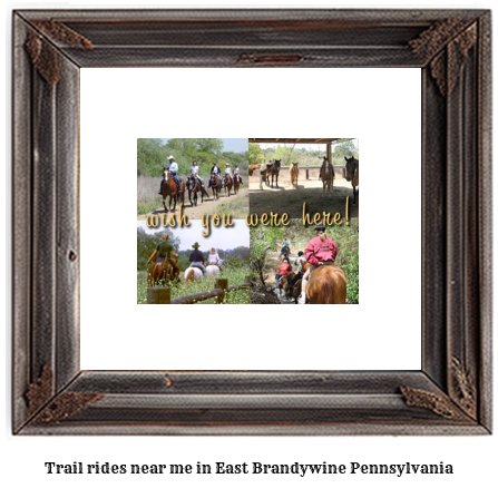 trail rides near me in East Brandywine, Pennsylvania